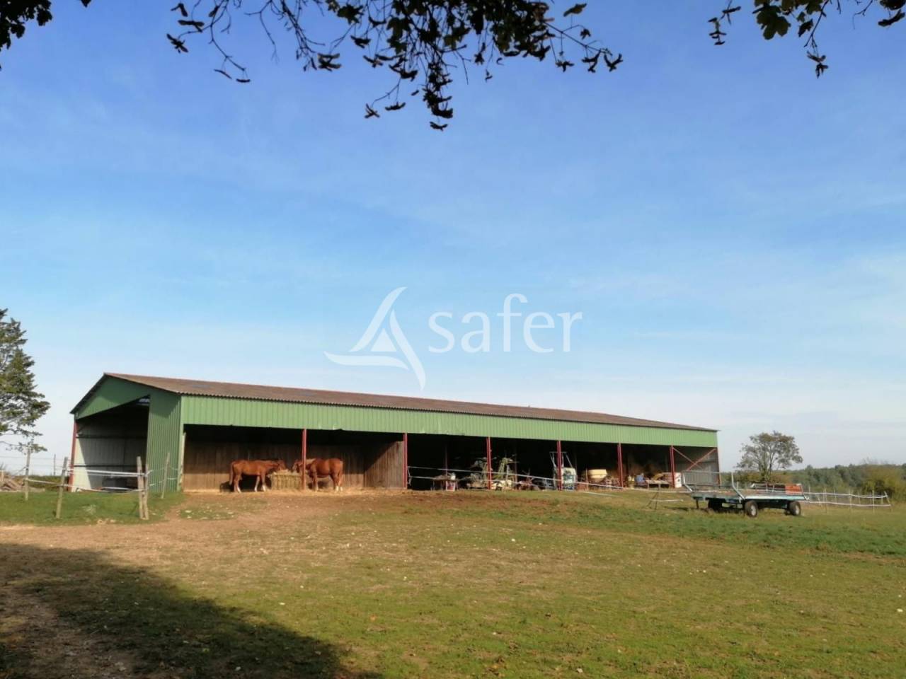 Equestrian property  Charente