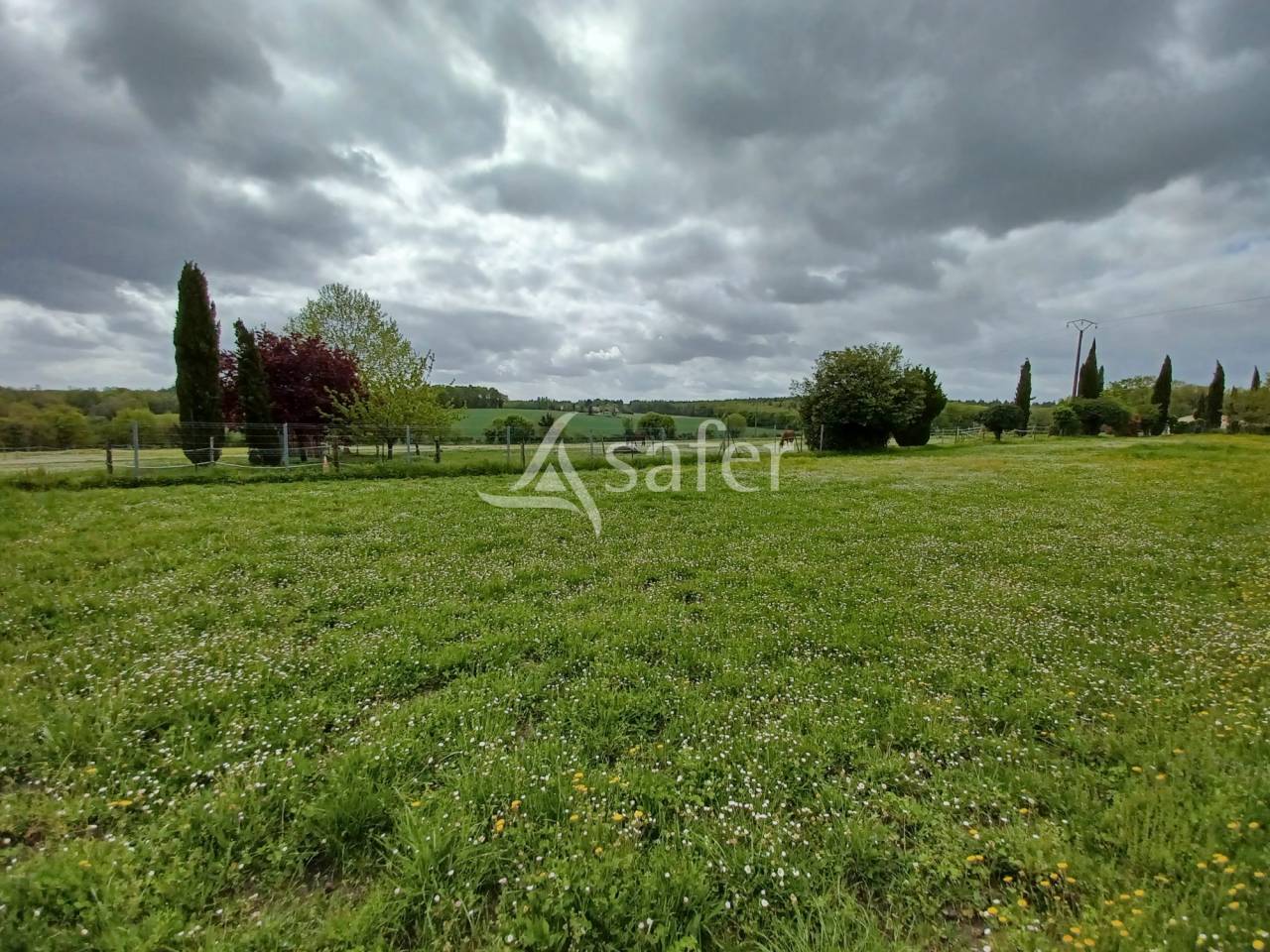 Equestrian property  Charente