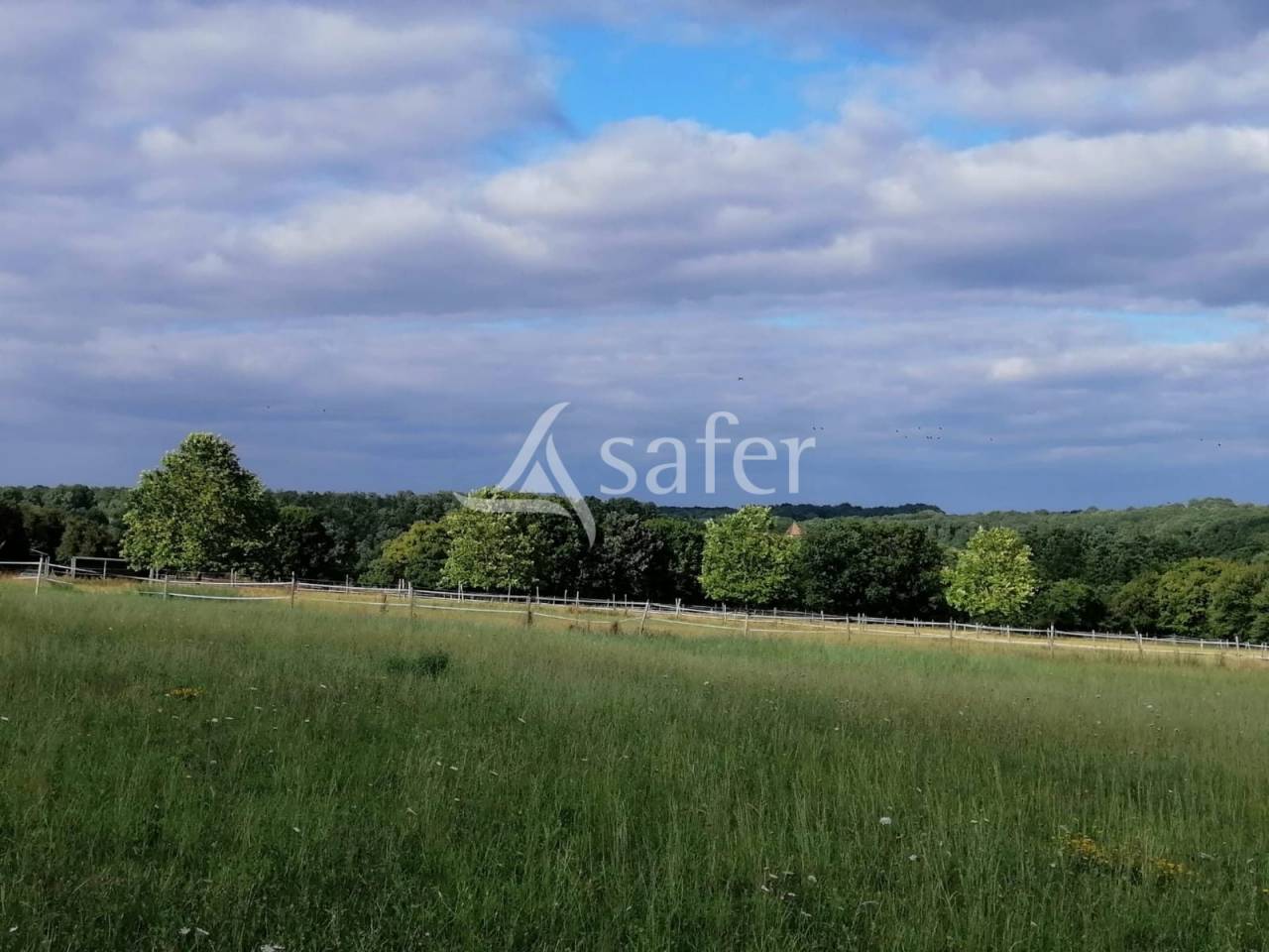 Equestrian property  Charente