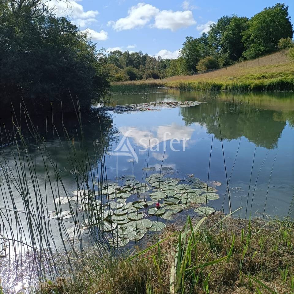 Equestrian property  Charente