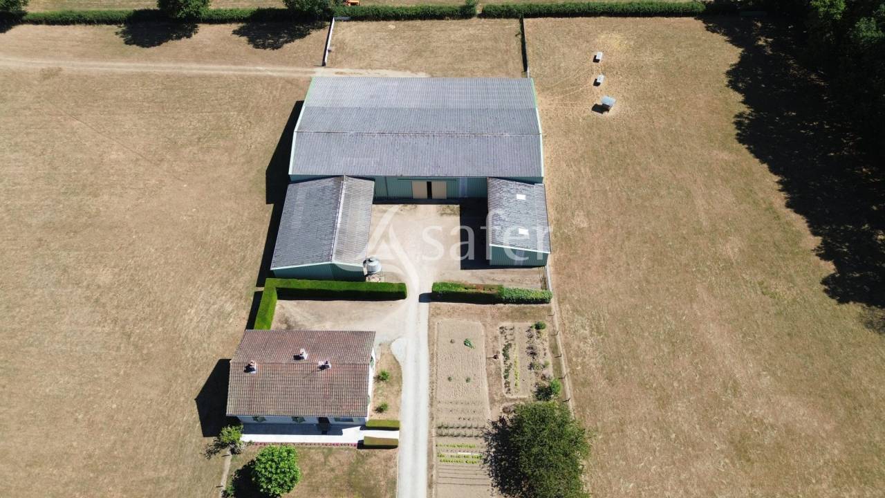 Sheep farm  Charente