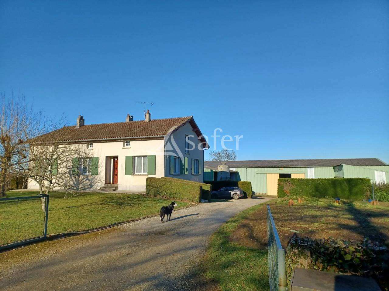 Sheep farm  Charente