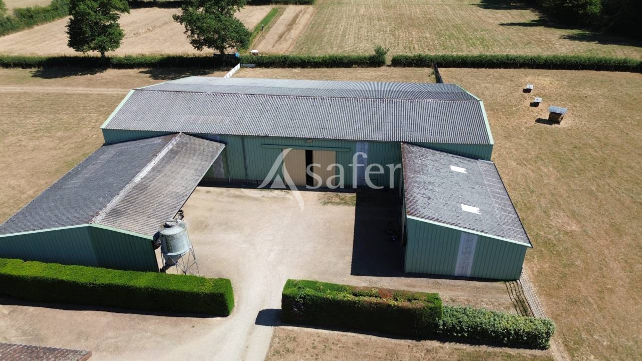 Sheep farm  Charente