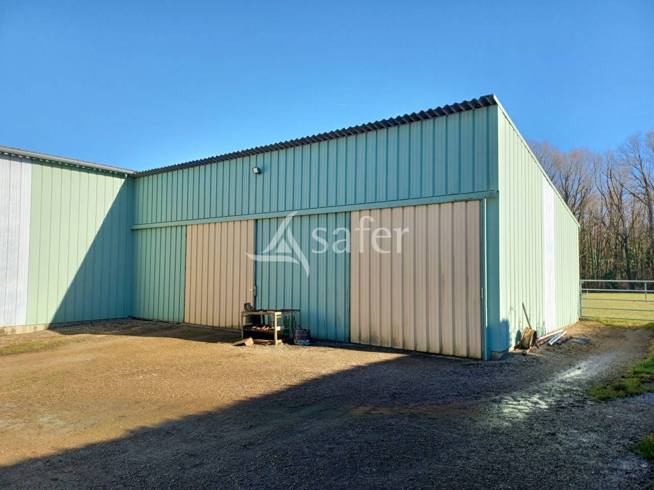 Sheep farm  Charente