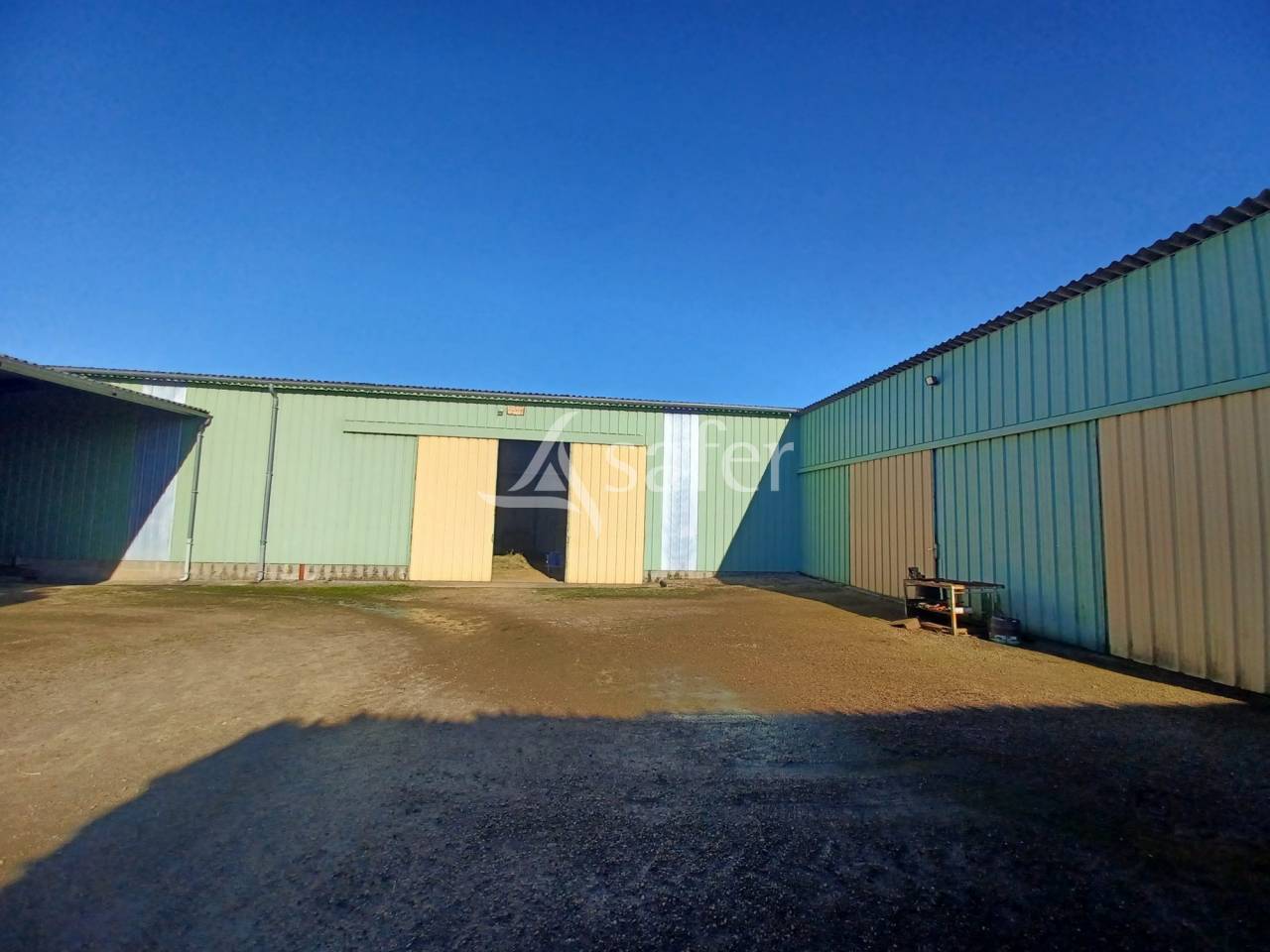 Sheep farm  Charente