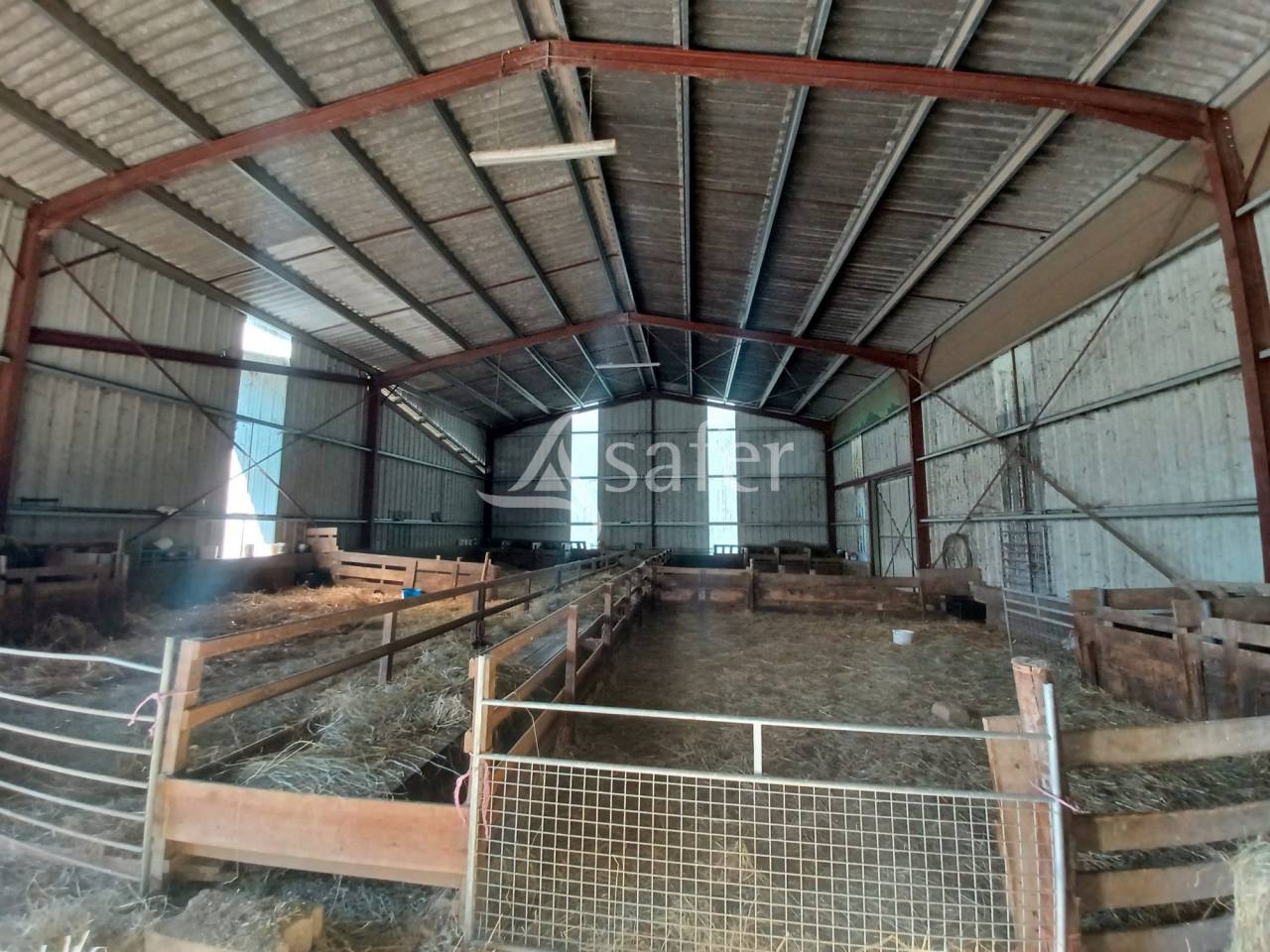 Sheep farm  Charente