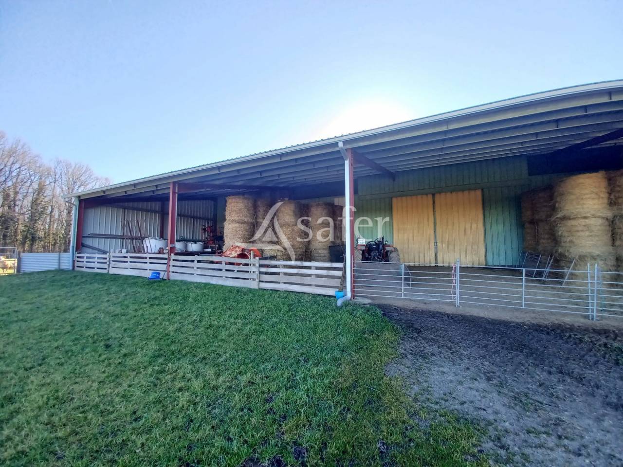 Sheep farm  Charente