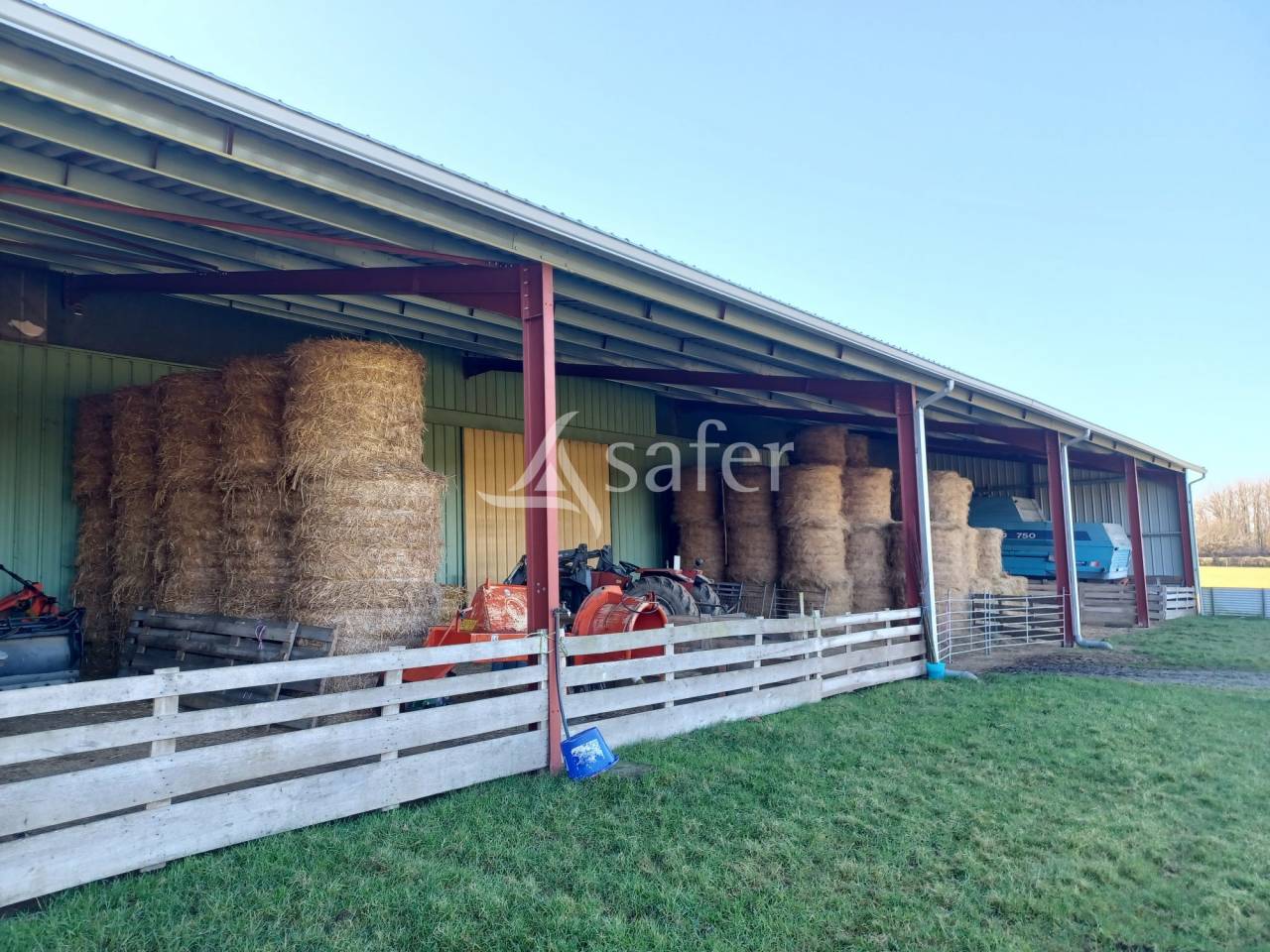 Sheep farm  Charente