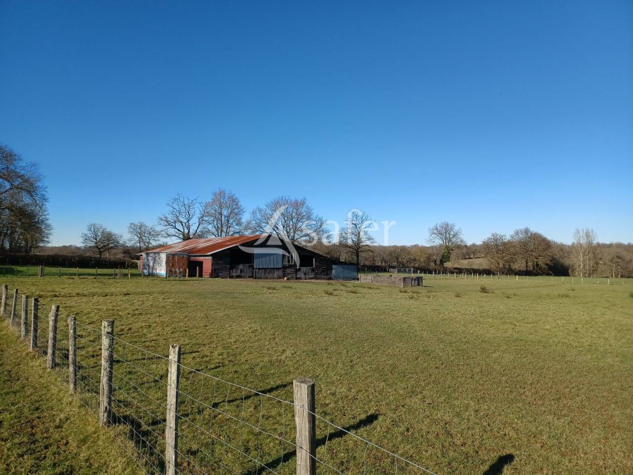 Sheep farm  Charente