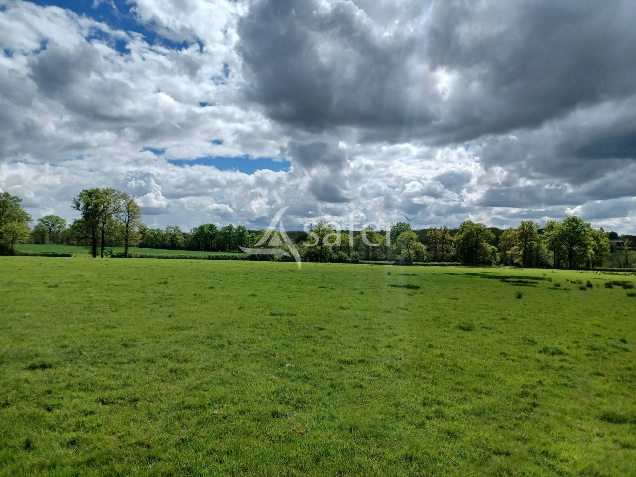 Sheep farm  Charente