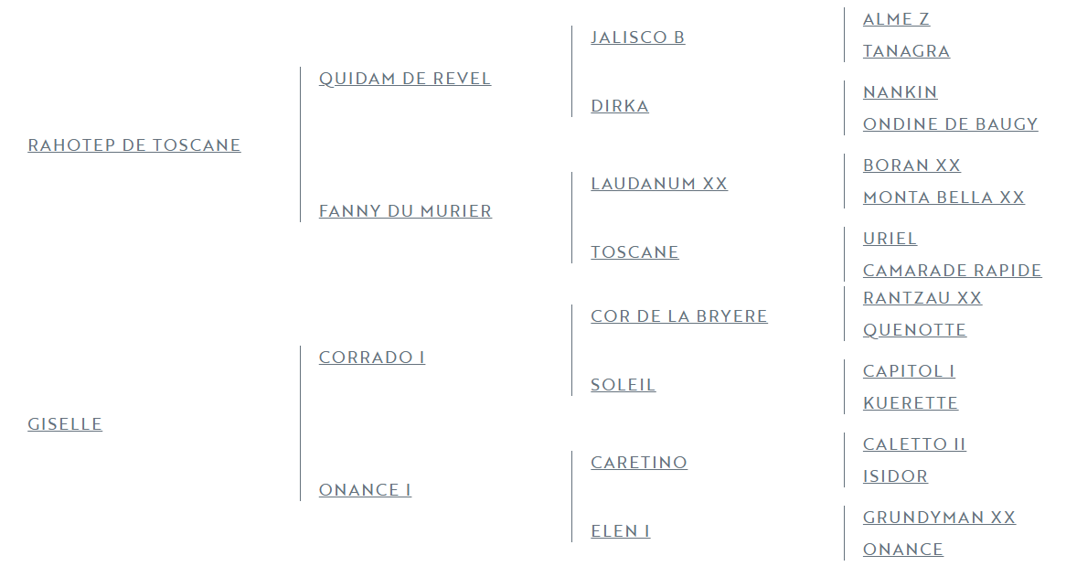 Gelding Zangersheide For sale 2025 Bay