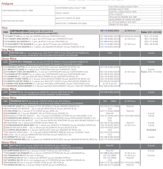 Colt Origin Recorded For sale 2025 Bay