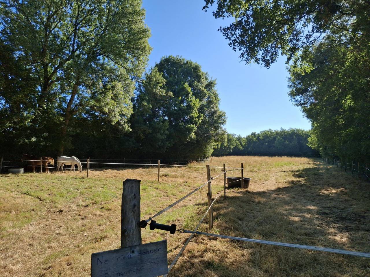 Equestrian property  Charente-Maritime