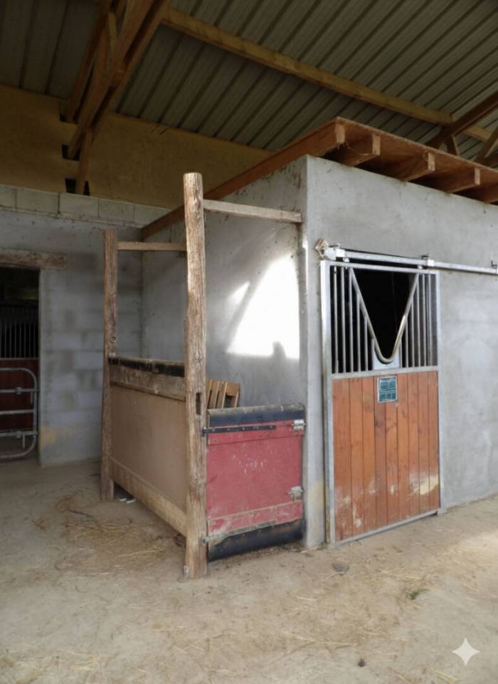 Stud farm  Pyr&eacute;n&eacute;es-Atlantiques