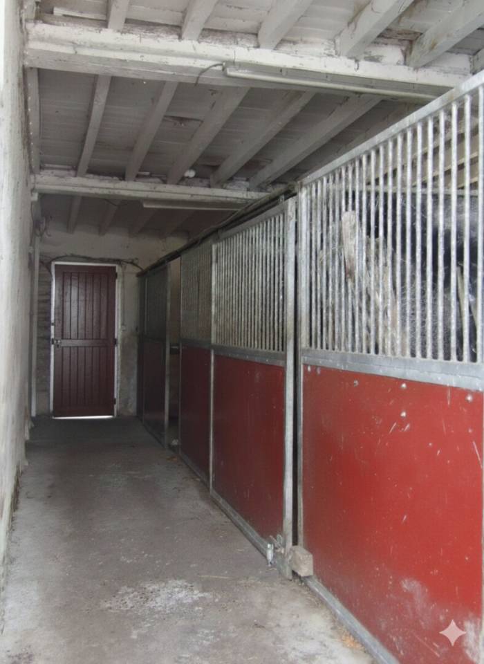 Stud farm  Pyr&eacute;n&eacute;es-Atlantiques