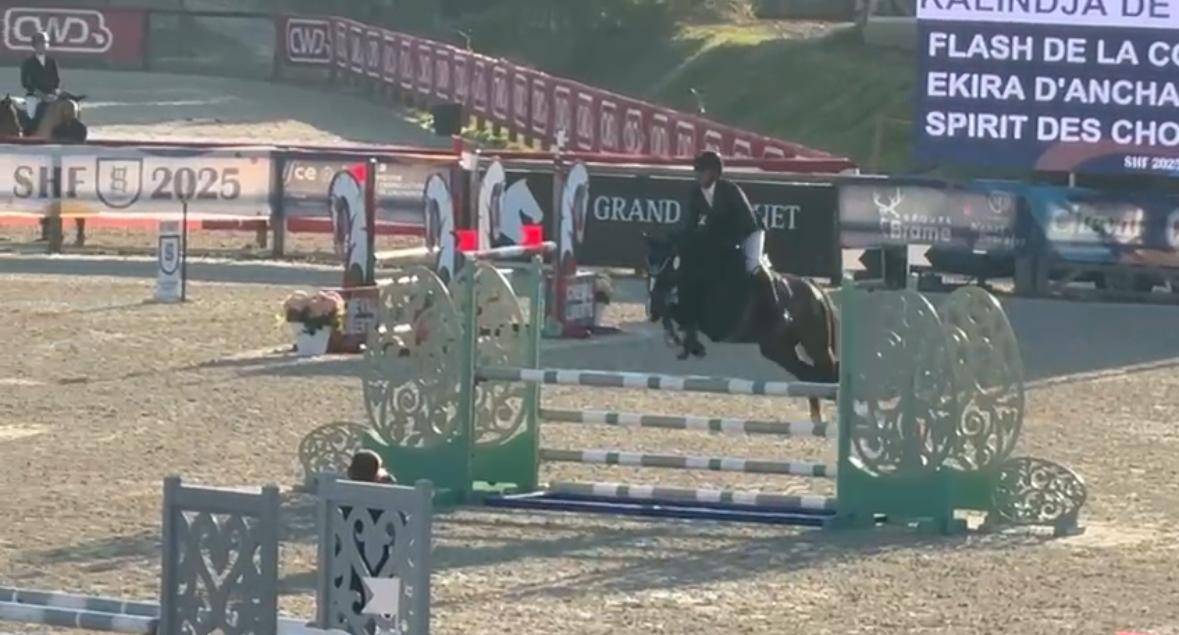 Mare Origin Recorded For sale 2020 Black