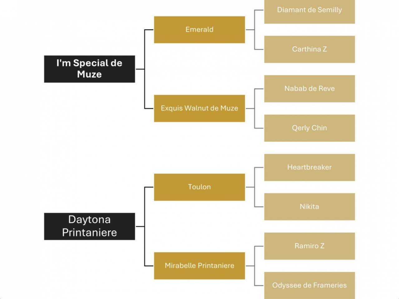 Mare Zangersheide For sale 2025 Bay