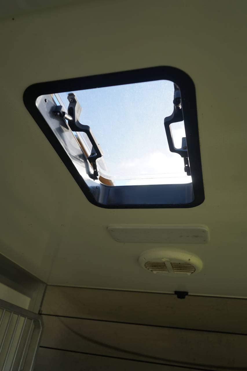 Horsebox HGV Opel STX movano 2024 Used