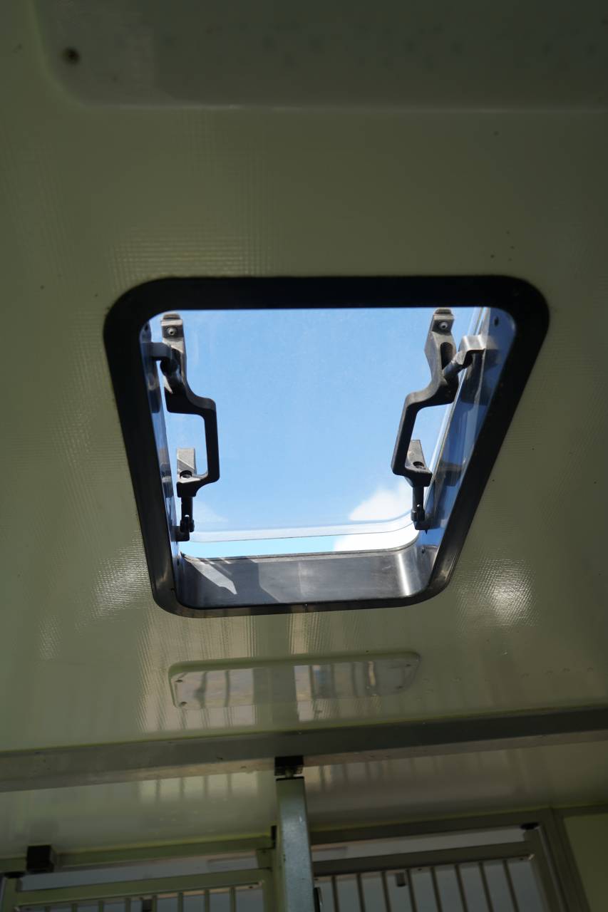 Horsebox HGV Opel STX movano 2024 Used