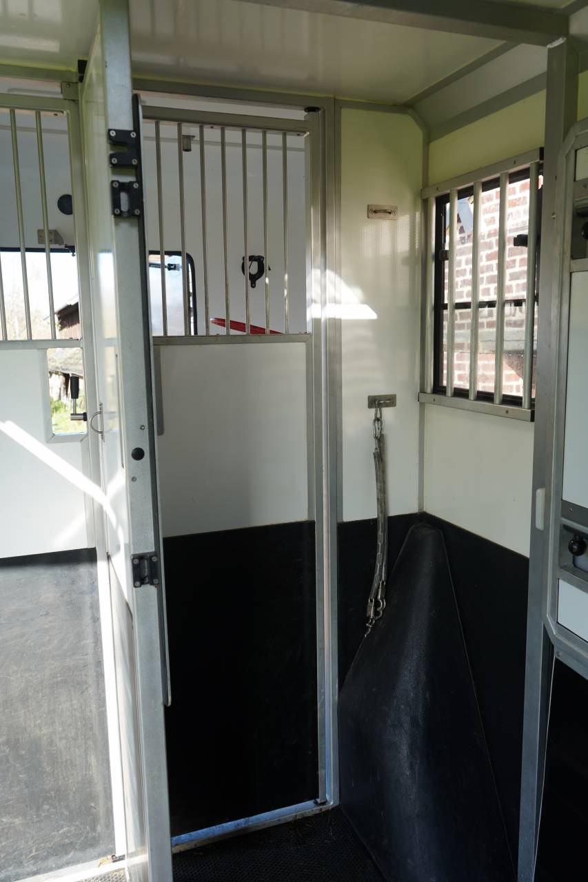 Horsebox HGV Opel STX movano 2024 Used