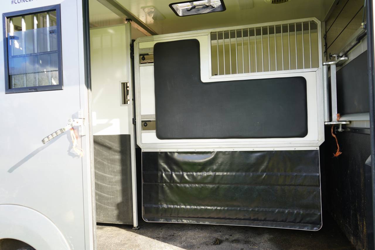 Horsebox HGV Opel STX movano 2024 Used