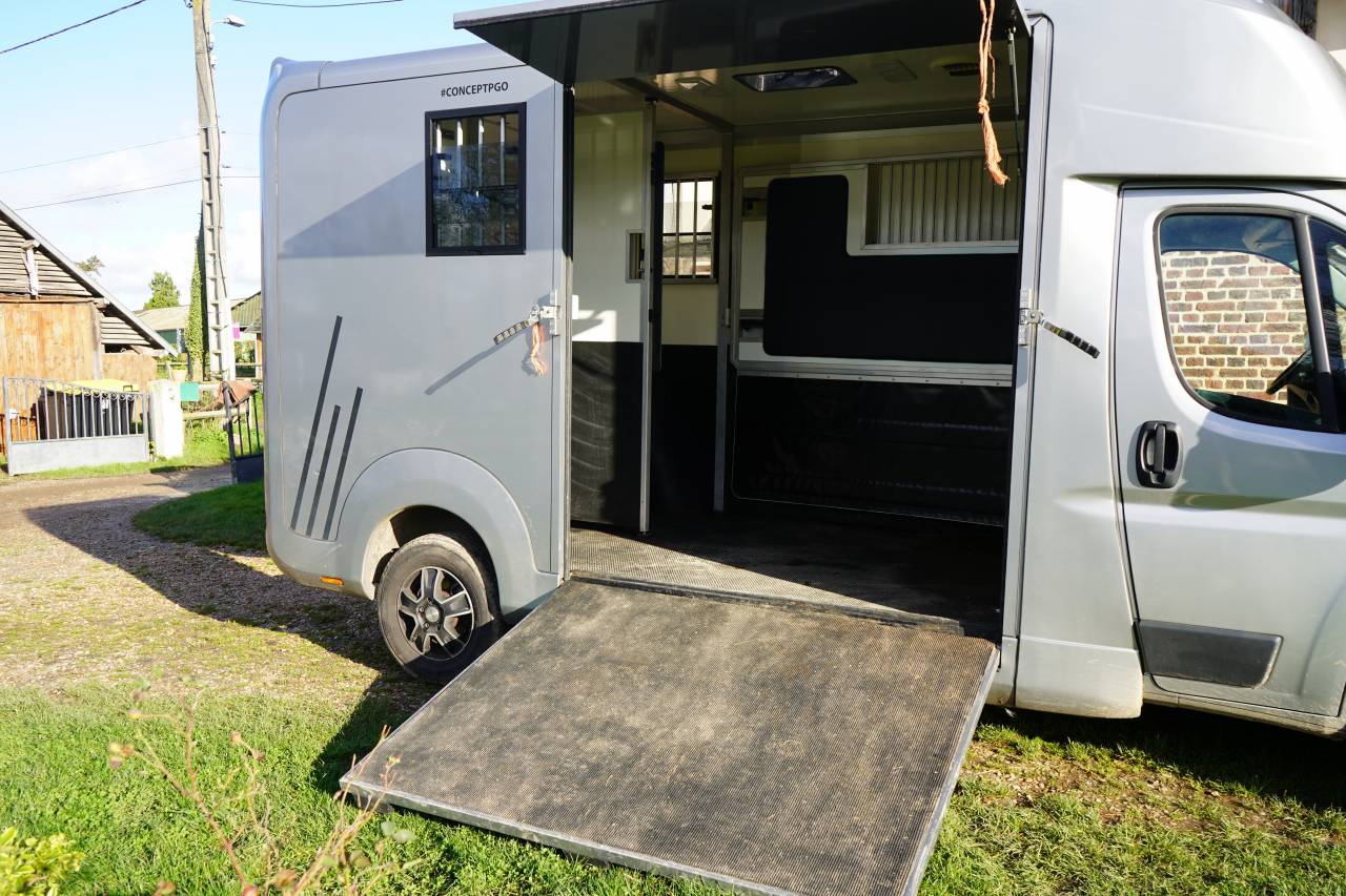 Horsebox HGV Opel STX movano 2024 Used