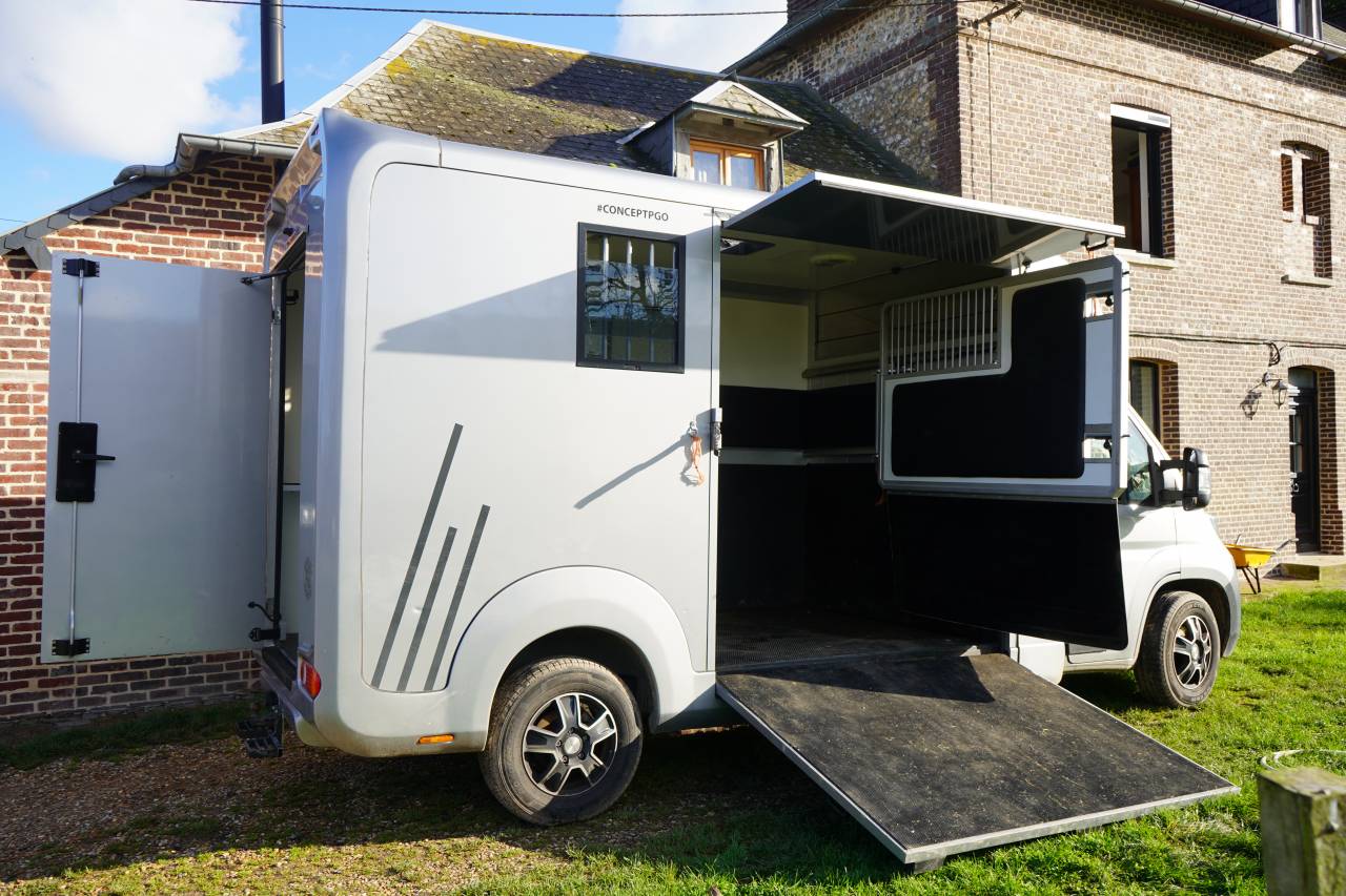 Horsebox HGV Opel STX movano 2024 Used
