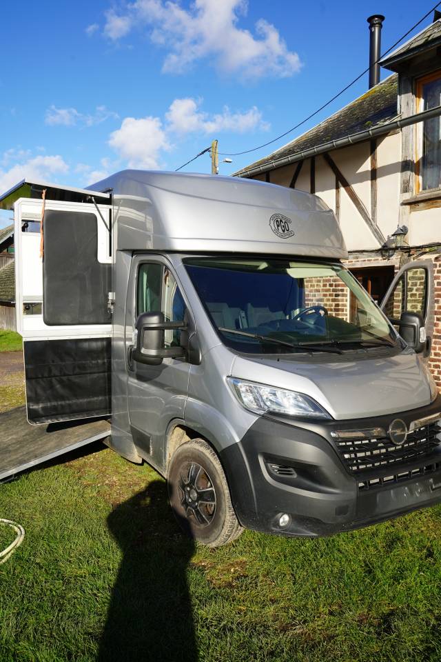 Horsebox HGV Opel STX movano 2024 Used