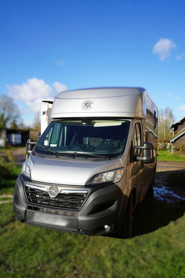 Horsebox HGV Opel STX movano 2024 Used