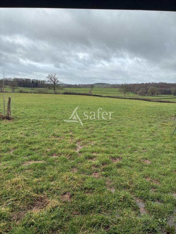 Equestrian property  Sa&ocirc;ne-et-Loire