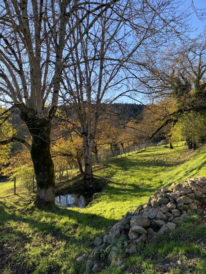 Equestrian Bed and Breakfast  Puy-de-D&ocirc;me