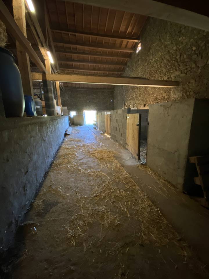 Equestrian Bed and Breakfast  Puy-de-D&ocirc;me