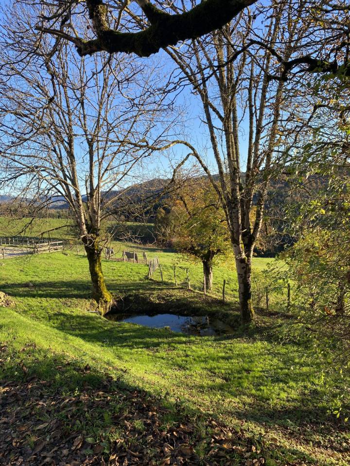 Equestrian Bed and Breakfast  Puy-de-D&ocirc;me