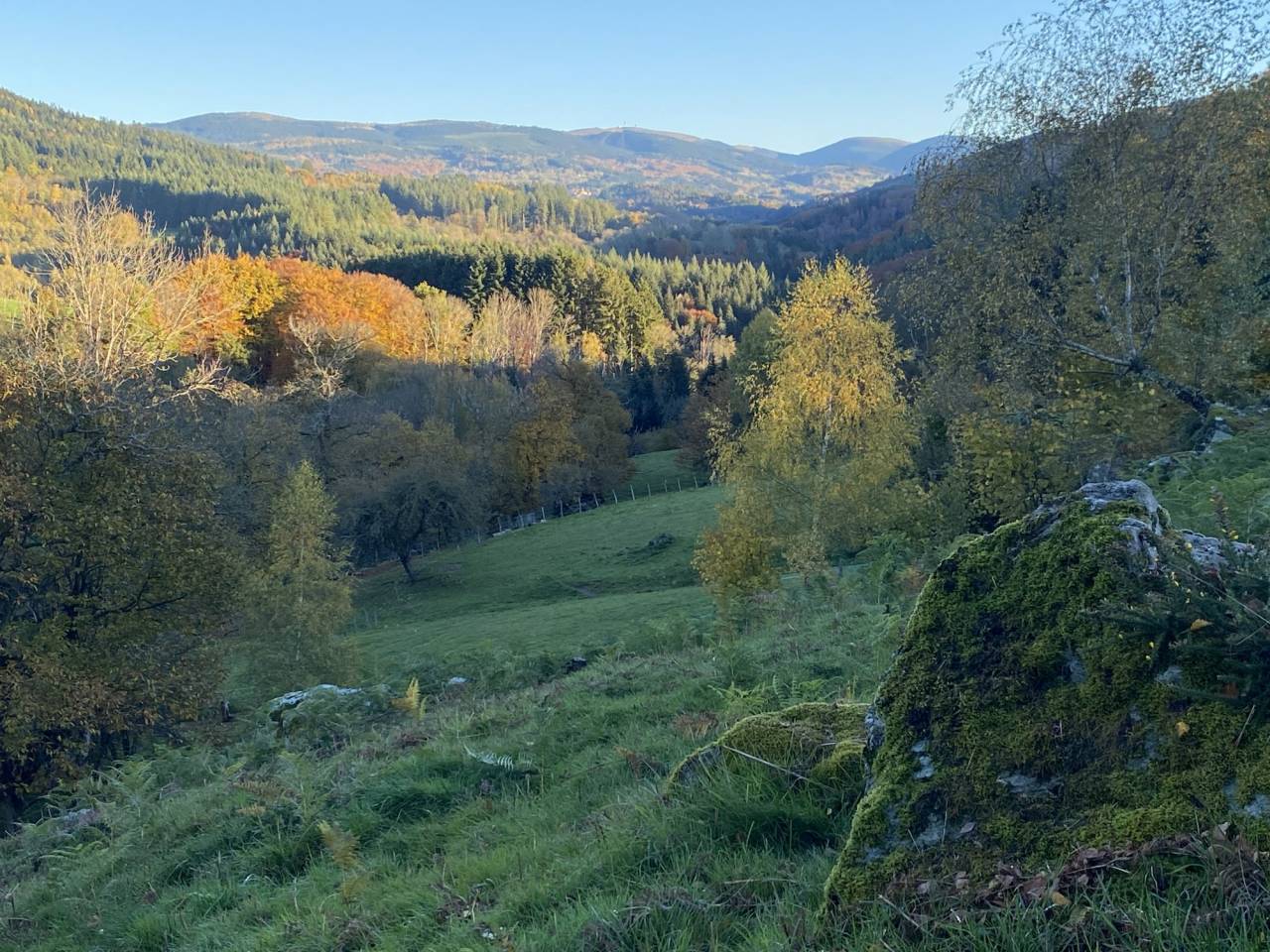 Equestrian Bed and Breakfast  Puy-de-D&ocirc;me