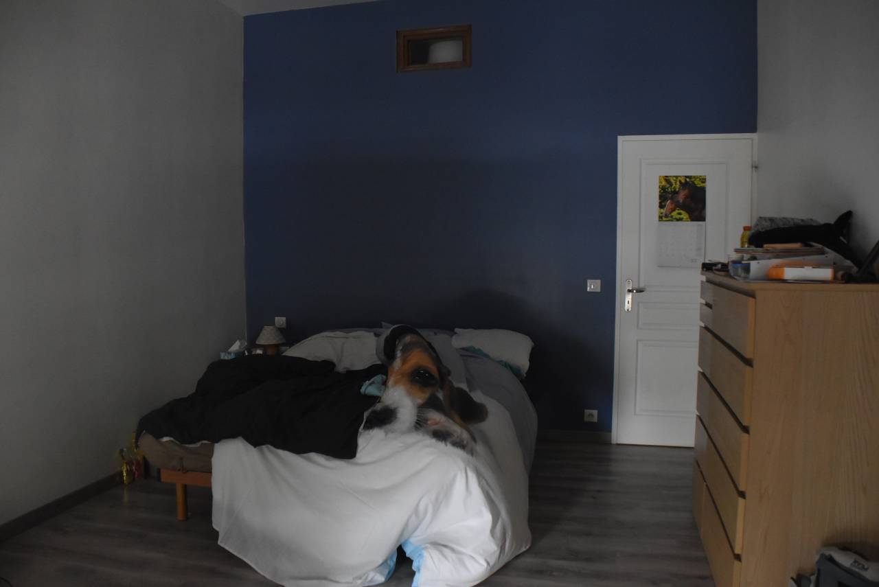 Equestrian property  Lot