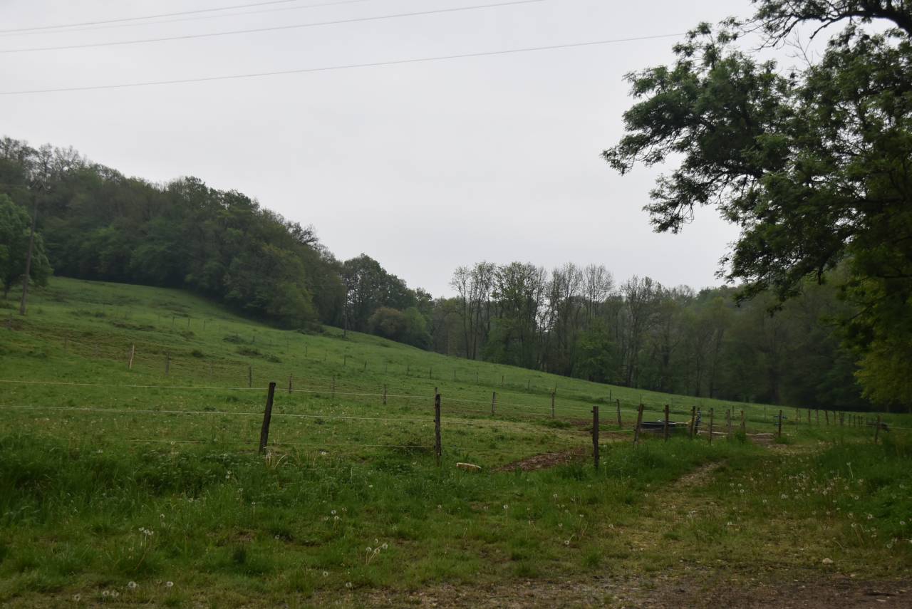 Equestrian property  Lot