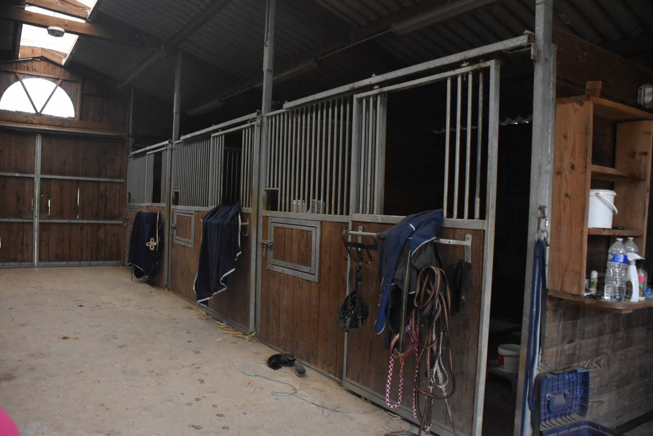 Equestrian property  Lot