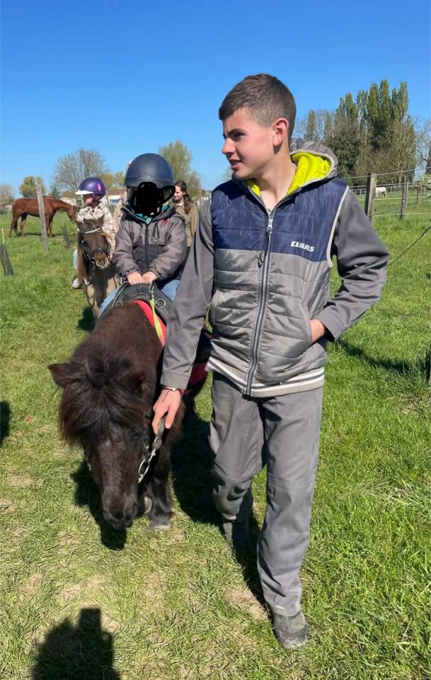 Mare Shetland Pony For sale 2014 Black