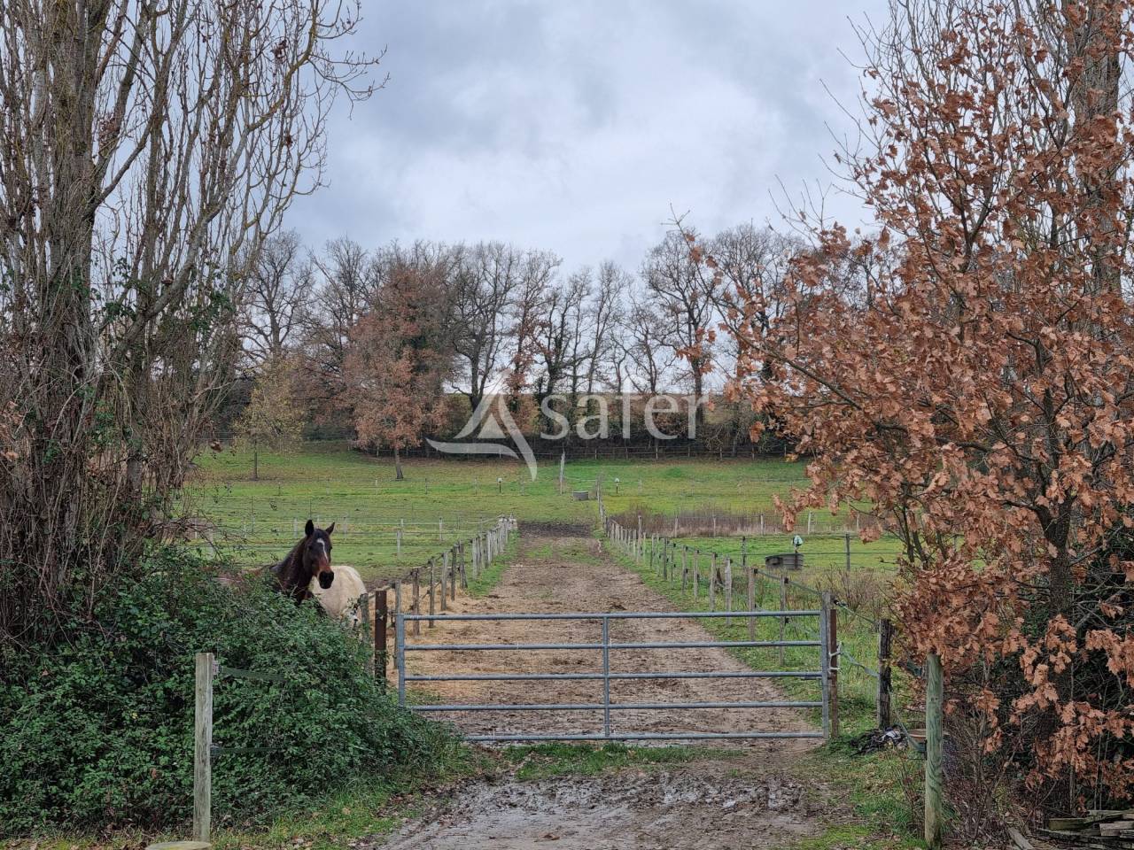 Equestrian property  Haute-Garonne
