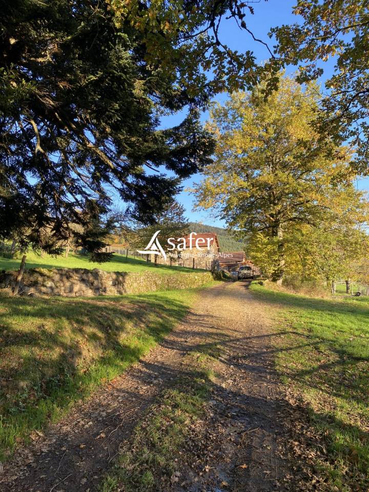 Hog farm / Piggery  Puy-de-D&ocirc;me
