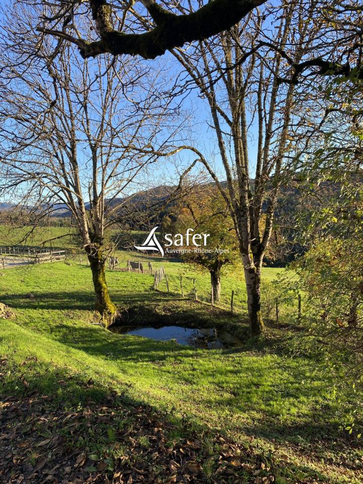 Hog farm / Piggery  Puy-de-D&ocirc;me