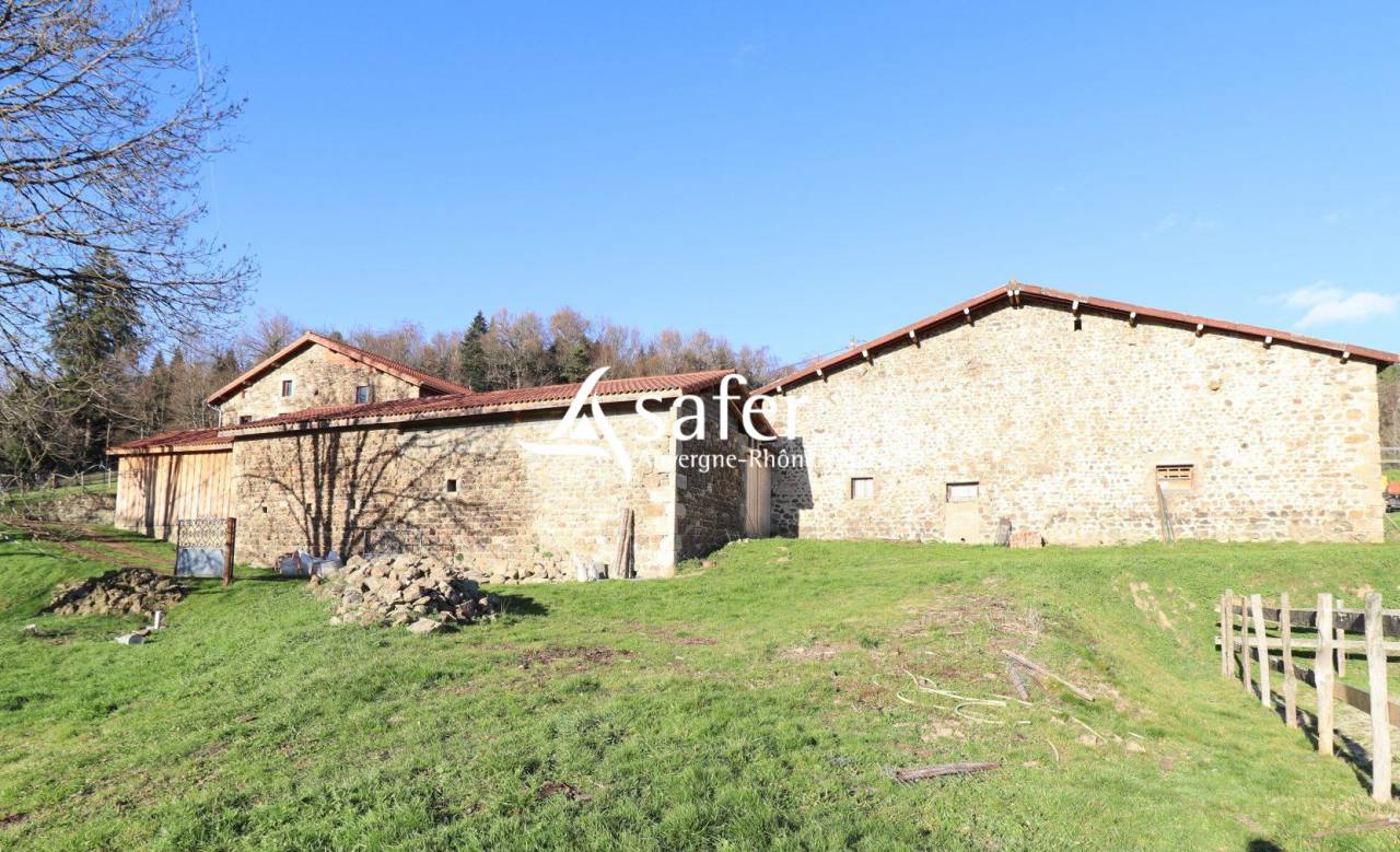 Hog farm / Piggery  Puy-de-D&ocirc;me