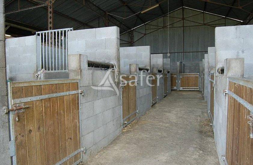 Equestrian property  Mayenne