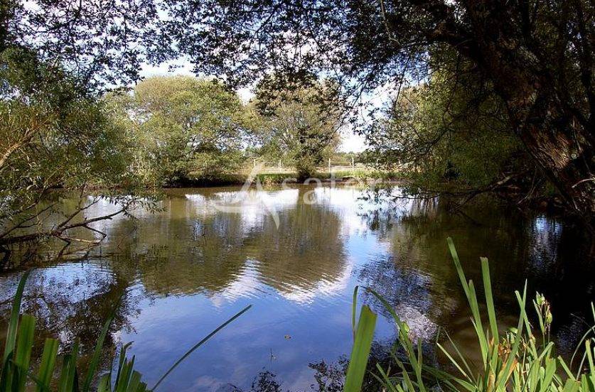 Equestrian property  Mayenne