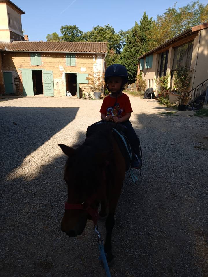 Business  Haute-Garonne