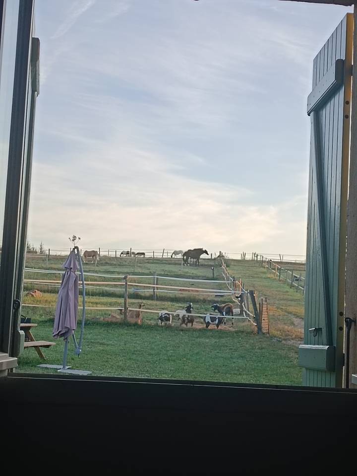 Business  Haute-Garonne