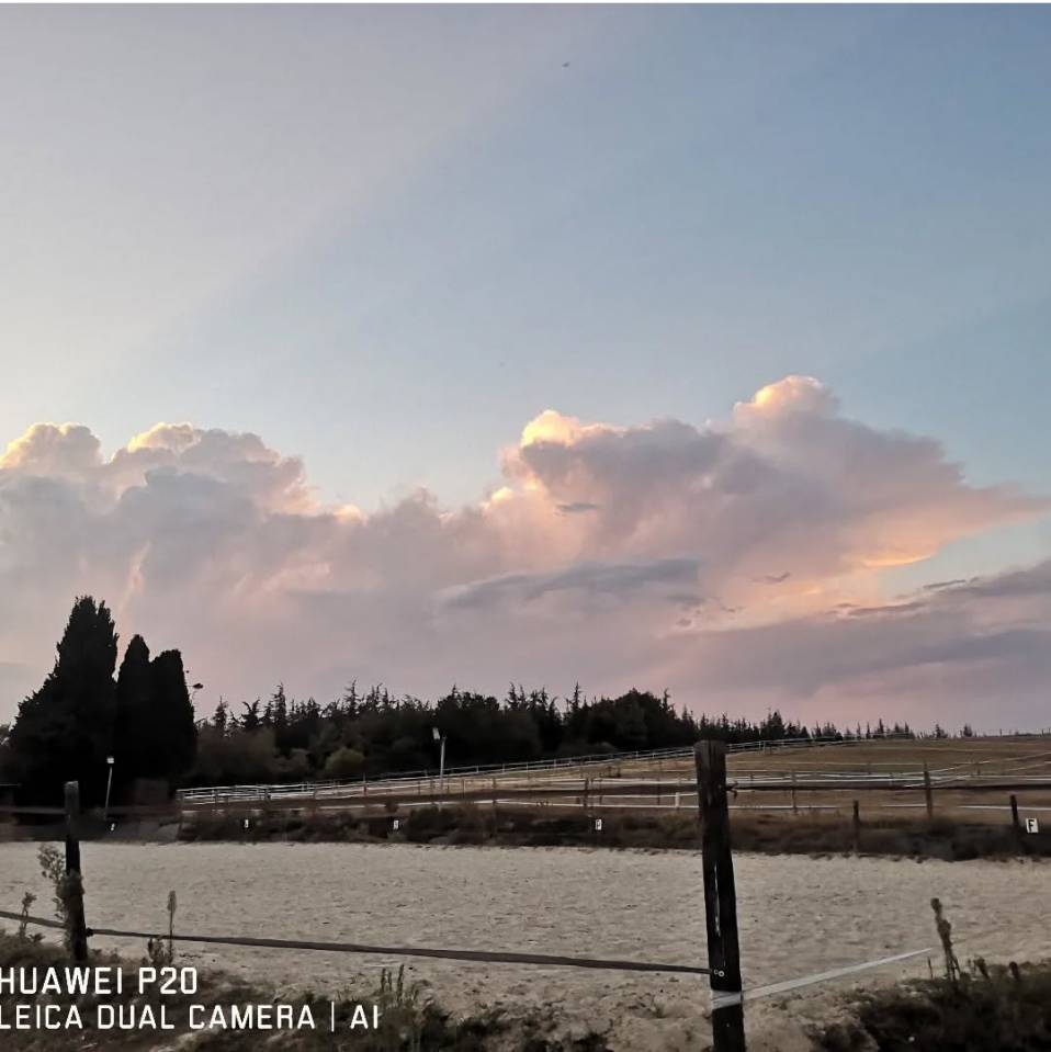 Business  Haute-Garonne