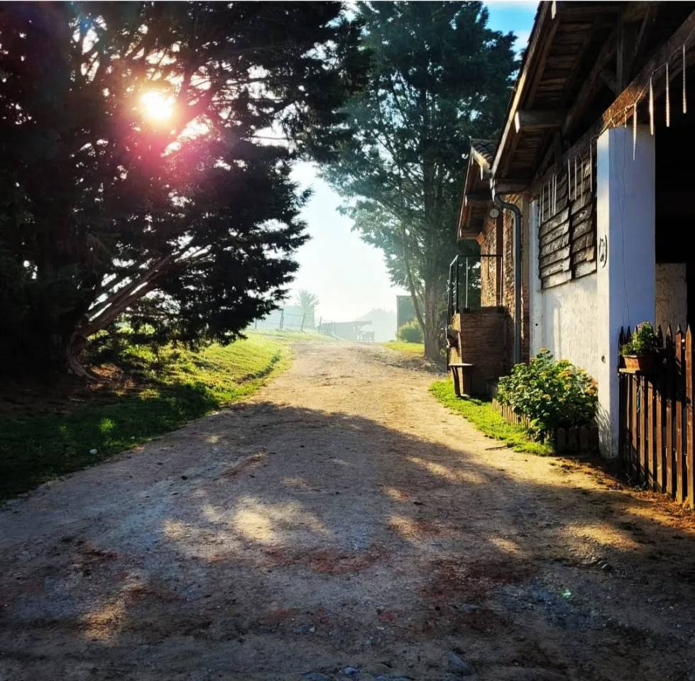 Business  Haute-Garonne