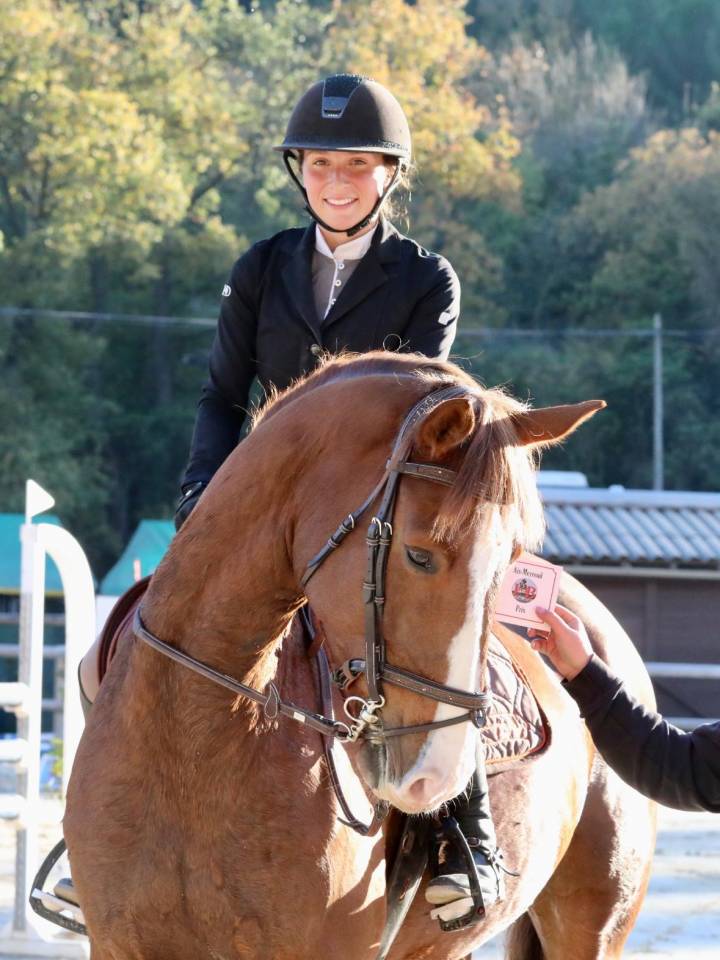 Gelding Selle Fran&ccedil;ais For sale 2017 Chesnut