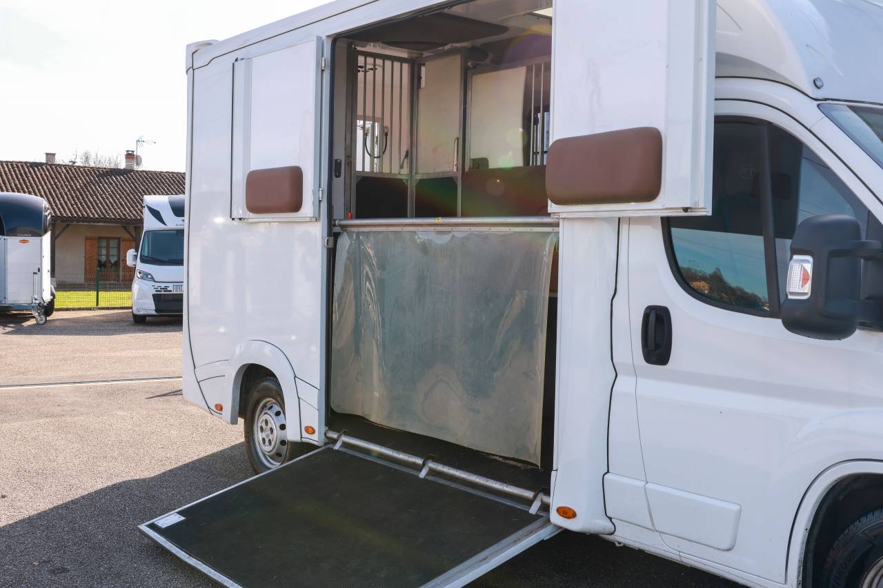 Horsebox HGV Peugeot BOXER 2021 Used